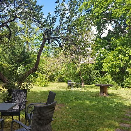 באדן Pension Villa Inge מראה חיצוני תמונה