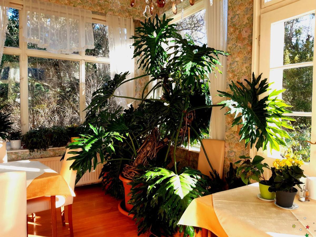 באדן Pension Villa Inge מראה חיצוני תמונה