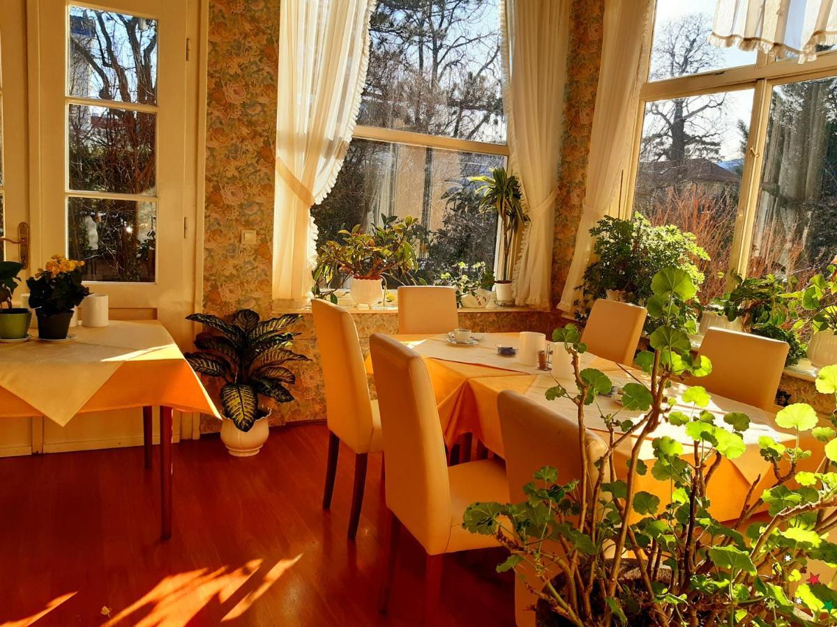 באדן Pension Villa Inge מראה חיצוני תמונה